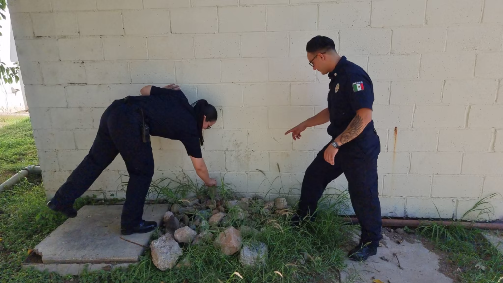 WhatsApp Image 2025-10-03 at 8.48.23 AM