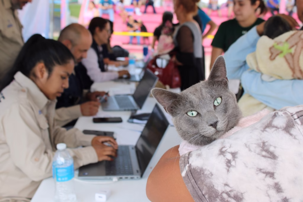 WhatsApp Image 2025-10-07 at 11.47.03 AM (2)