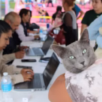 WhatsApp Image 2025-10-07 at 11.47.03 AM (2)