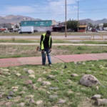 WhatsApp Image 2025-10-08 at 8.41.14 AM