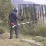 WhatsApp Image 2025-10-09 at 10.16.42 AM