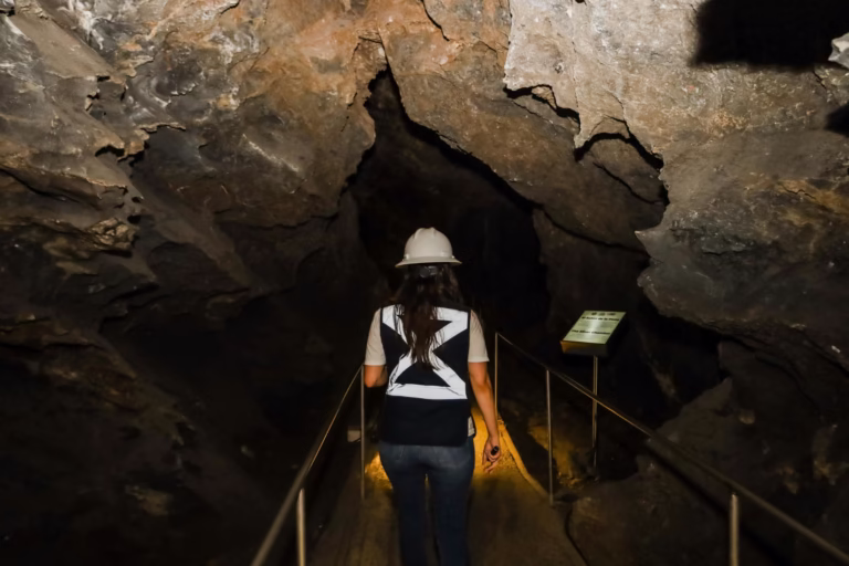 WhatsApp Image 2025-10-09 at 11.31.45 AM (2)