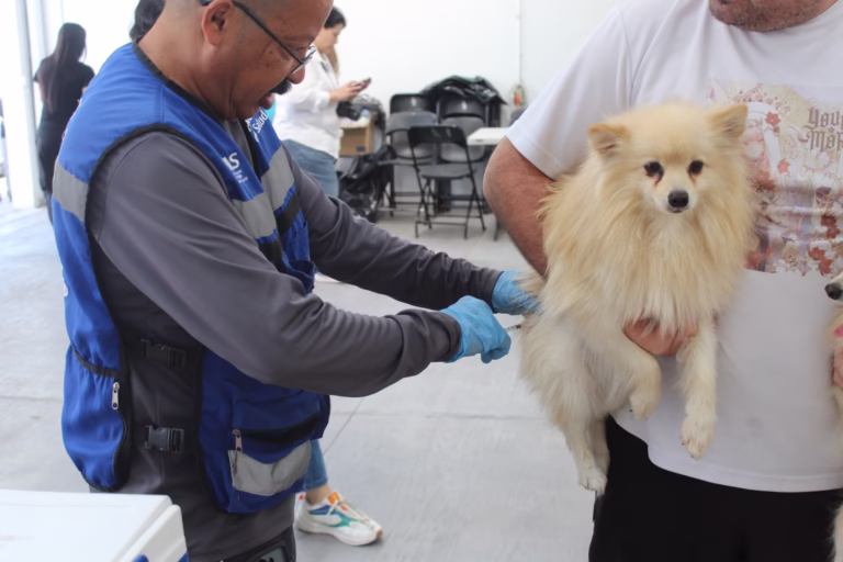 WhatsApp Image 2025-10-10 at 9.30.03 AM