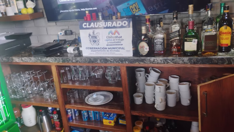 WhatsApp Image 2025-10-13 at 9.14.33 AM (2)