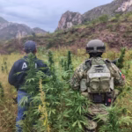 WhatsApp Image 2025-10-13 at 9.21.12 AM