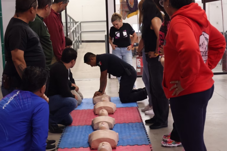 WhatsApp Image 2025-10-14 at 8.29.23 AM