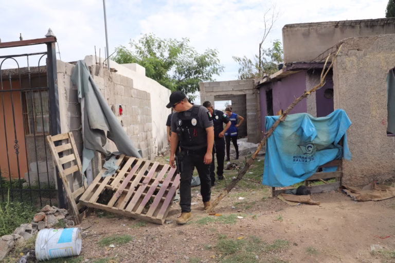 WhatsApp Image 2025-10-15 at 11.21.54 AM (1)