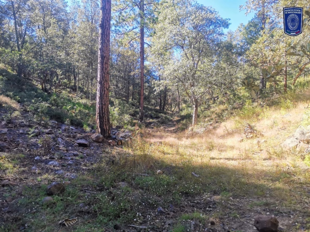 WhatsApp Image 2025-10-28 at 10.27.50 AM