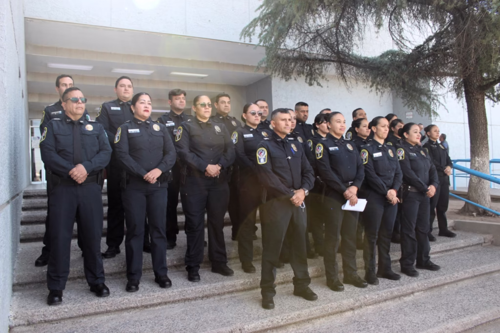 WhatsApp Image 2025-10-28 at 12.19.43 PM