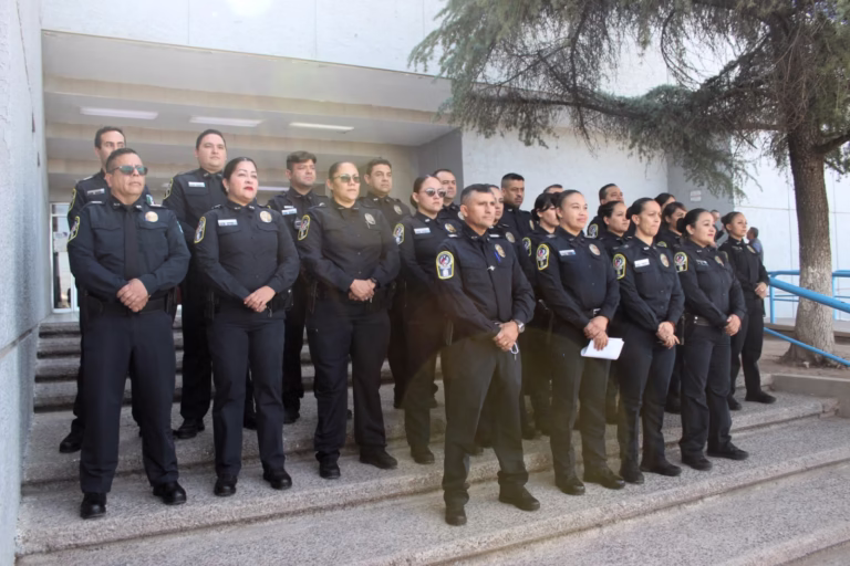 WhatsApp Image 2025-10-28 at 12.19.43 PM