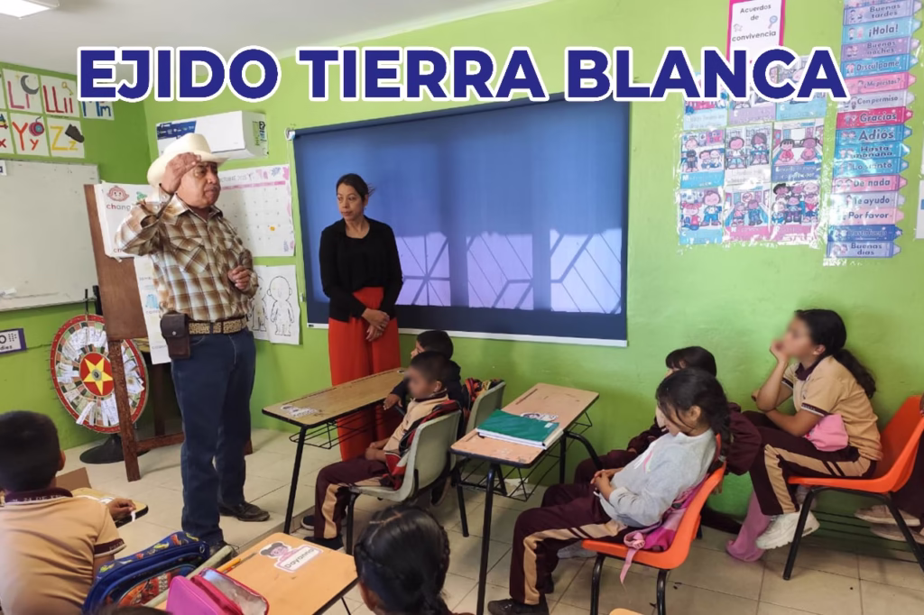 WhatsApp Image 2025-10-29 at 09.49.28