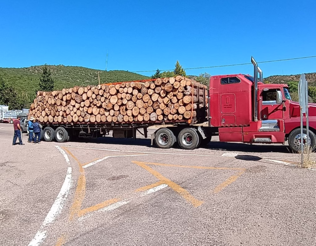 WhatsApp Image 2025-10-29 at 12.45.18 PM