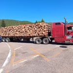 WhatsApp Image 2025-10-29 at 12.45.18 PM