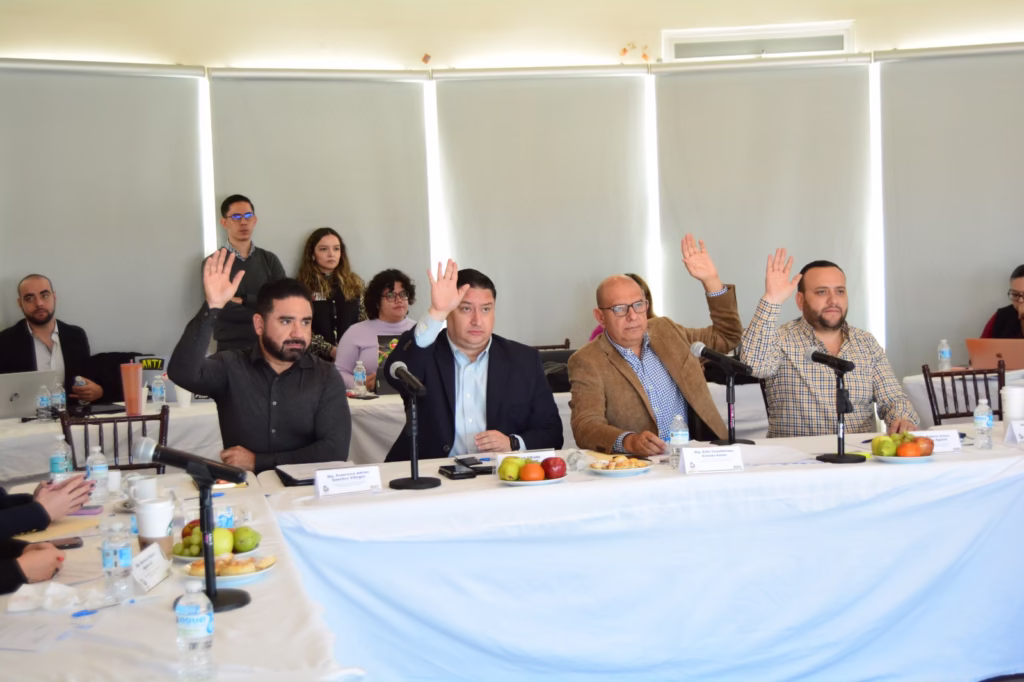 WhatsApp Image 2025-10-29 at 13.37.35