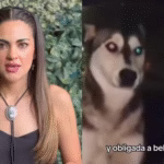 photo-collage.png (10)