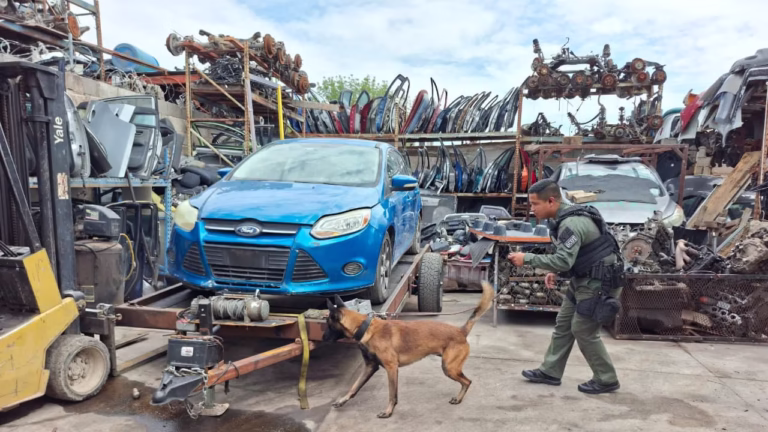 yonke dspm policia cuu