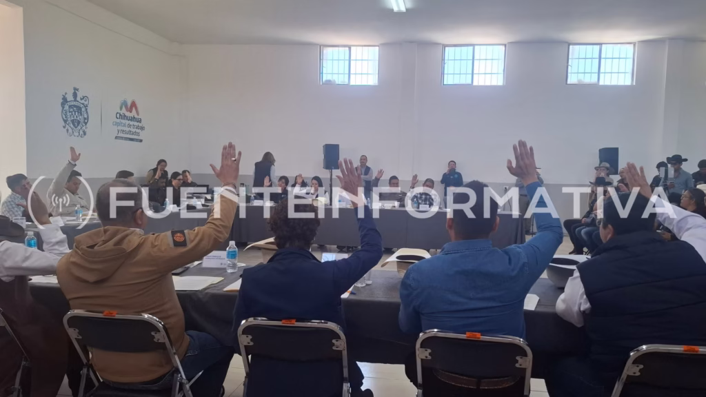 Diseño sin título_20251112_131829_0000