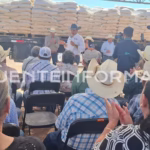 Diseño sin título_20251112_135929_0000