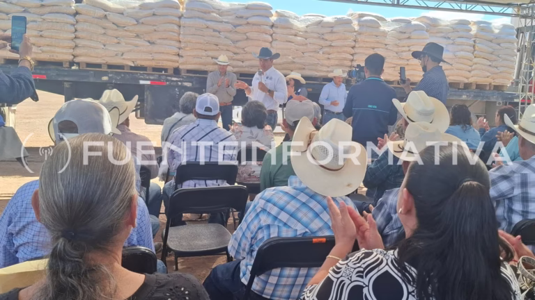 Diseño sin título_20251112_135929_0000