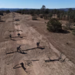 Imagen de WhatsApp 2025-11-10 a las 13.55.57_1116b292