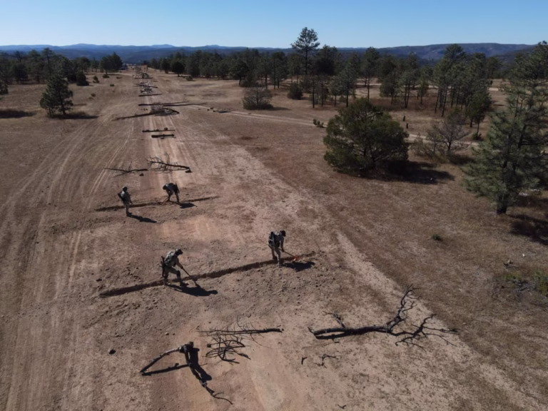 Imagen de WhatsApp 2025-11-10 a las 13.55.57_1116b292