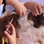 WhatsApp Image 2025-11-04 at 1.19.35 PM