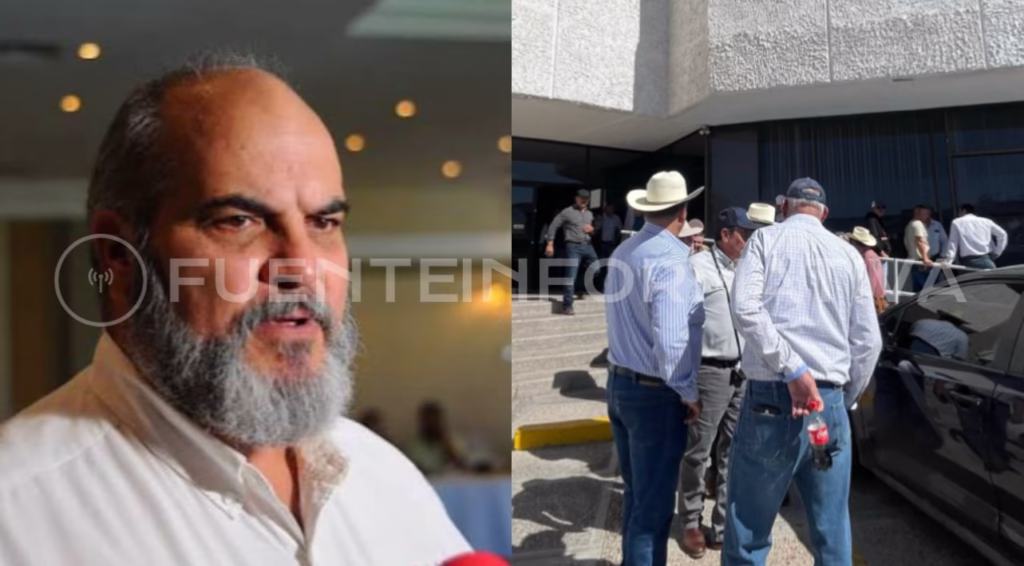 WhatsApp Image 2025-11-04 at 14.49.15