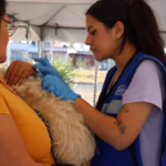 WhatsApp Image 2025-11-07 at 10.39.56 AM (1)