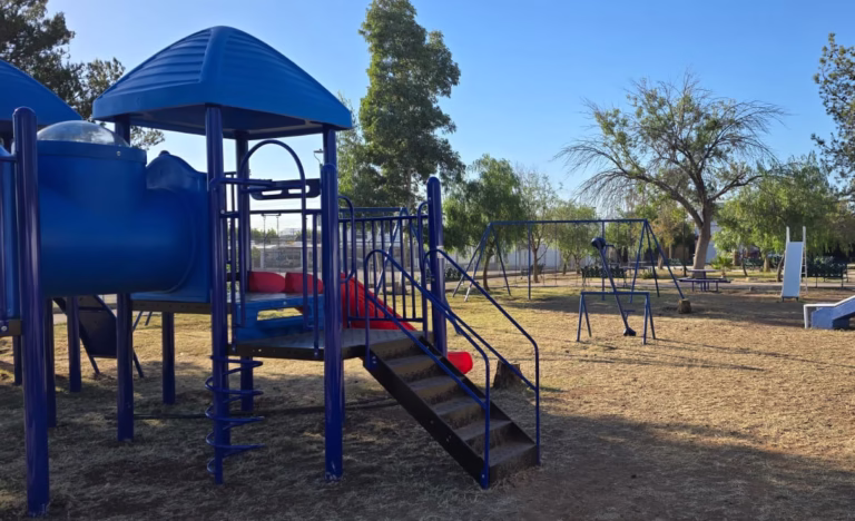 WhatsApp Image 2025-11-07 at 8.57.26 AM