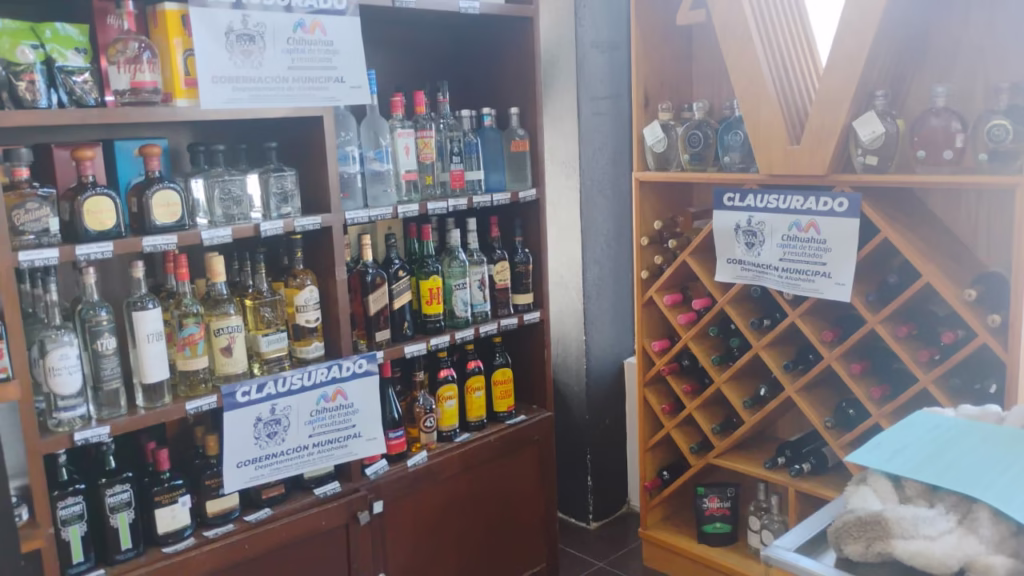 WhatsApp Image 2025-11-10 at 10.03.57 AM