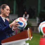 WhatsApp Image 2025-11-10 at 11.08.01