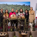 WhatsApp Image 2025-11-13 at 12.00.00