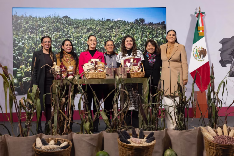 WhatsApp Image 2025-11-13 at 12.00.00