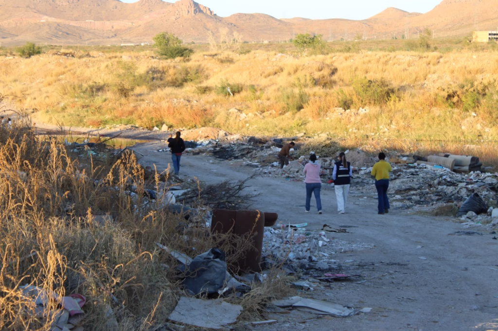 WhatsApp Image 2025-11-14 at 10.04.52 AM