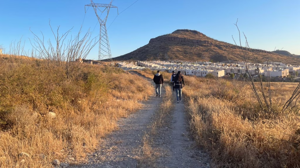 WhatsApp Image 2025-11-14 at 10.53.21 AM