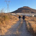 WhatsApp Image 2025-11-14 at 10.53.21 AM