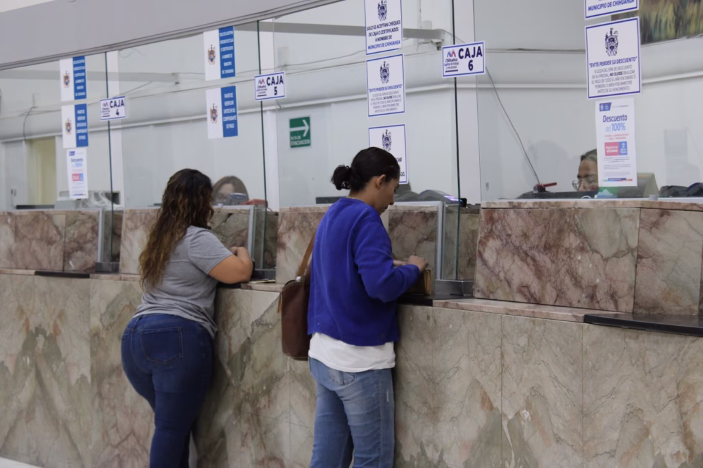 WhatsApp Image 2025-11-14 at 11.08.25 AM