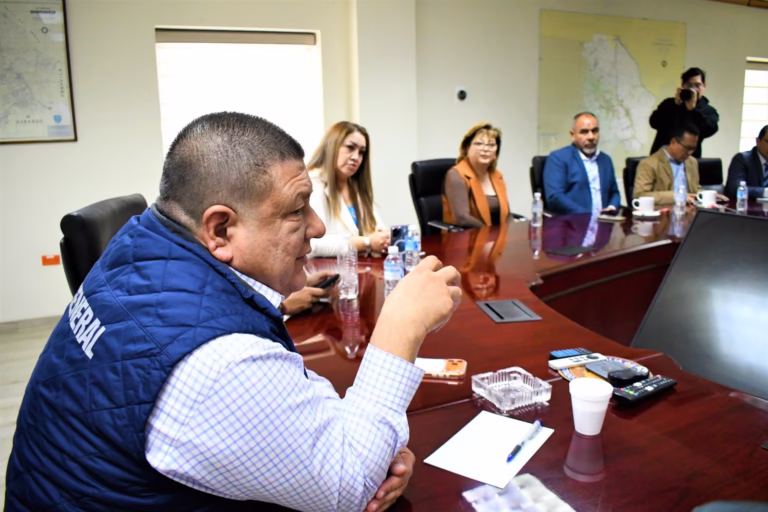 WhatsApp Image 2025-11-14 at 15.59.44