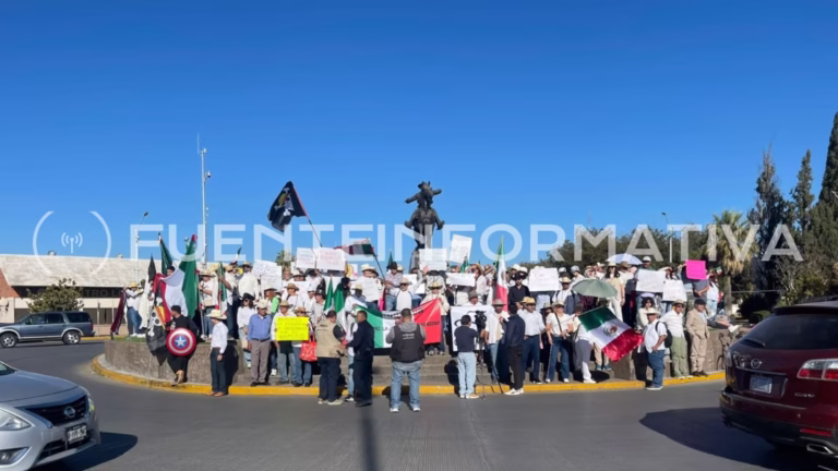 WhatsApp Image 2025-11-15 at 10.24.31 AM