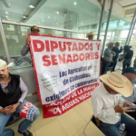 WhatsApp Image 2025-11-18 at 14.06.51