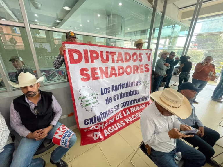 WhatsApp Image 2025-11-18 at 14.06.51