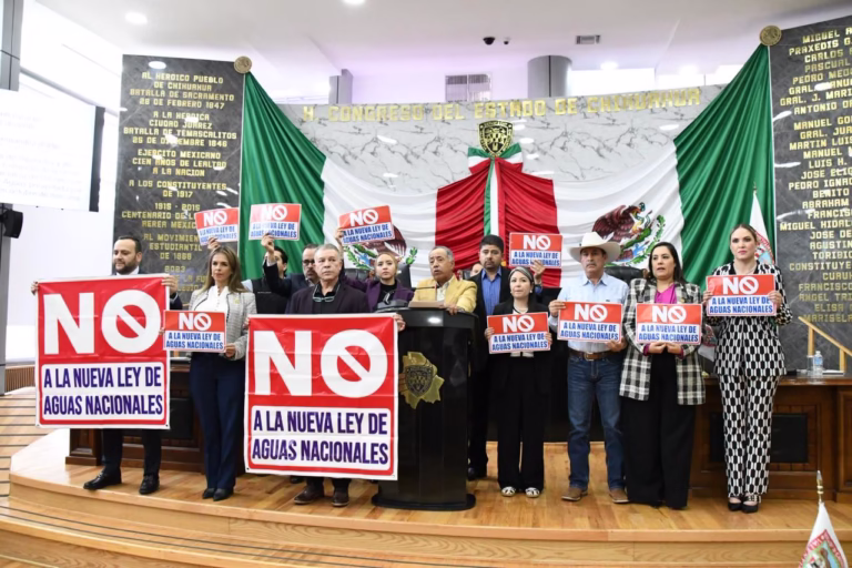 WhatsApp Image 2025-11-19 at 08.43.56