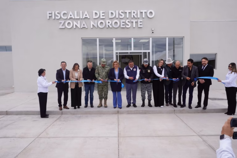 WhatsApp Image 2025-11-19 at 15.52.23