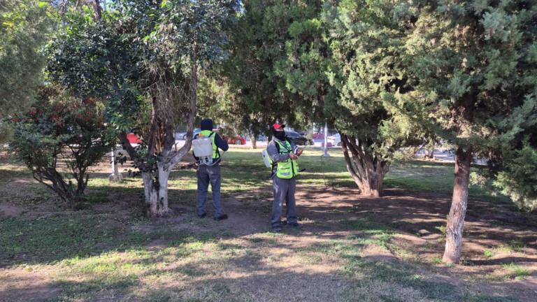 WhatsApp Image 2025-11-19 at 9.46.35 AM