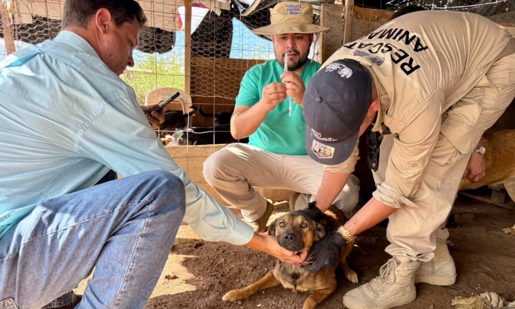 WhatsApp Image 2025-11-20 at 10.31.28 AM