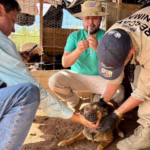 WhatsApp Image 2025-11-20 at 10.31.28 AM