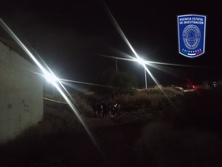 WhatsApp Image 2025-11-20 at 13.40.10