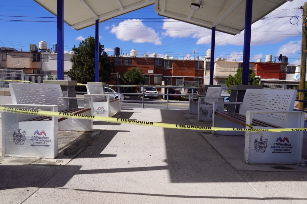 WhatsApp Image 2025-11-21 at 10.05.09 AM