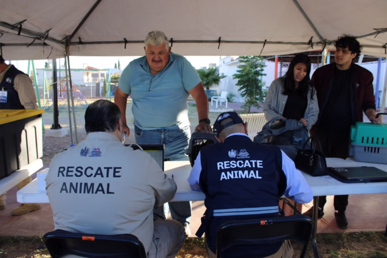 WhatsApp Image 2025-11-21 at 10.44.41 AM