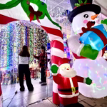 WhatsApp Image 2025-11-24 at 10.50.28 AM